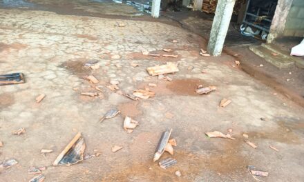 ಧಾರಾಕಾರ ಮಳೆ – ಹಾರಿ ಹೋದ ಮನೆಯ ಹಂಚುಗಳು