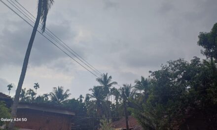 ಶಿರಸಿಯಲ್ಲಿ ಧಾರಾಕಾರ ಮಳೆ