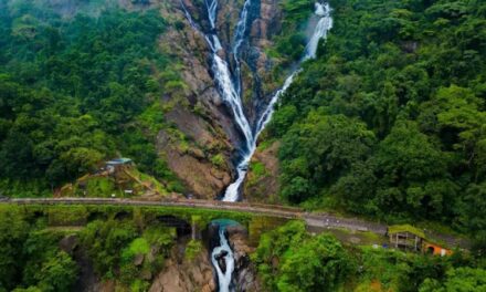 ಗೋವಾದ ದೂಧಸಾಗರ ಜಲಪಾತ ವೀಕ್ಷಣೆಗೆ ನಿಷೇಧ