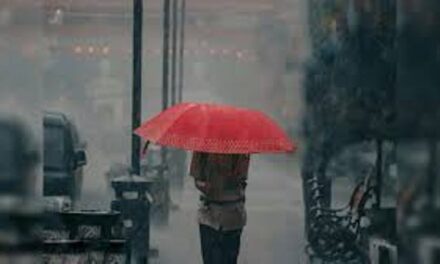 ಗೋವಾದಲ್ಲಿ ಮತ್ತೆ ಸಕ್ರೀಯಗೊಂಡ ಮಳೆ, ಯಲ್ಲೊ ಅಲರ್ಟ