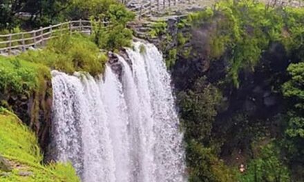 Chikale Falls/ ಬೆಳಗಾವಿ-ಗೋವಾ ಗಡಿ ಭಾಗದಲ್ಲಿದೆ ಸುಂದರ ಜಲಪಾತ