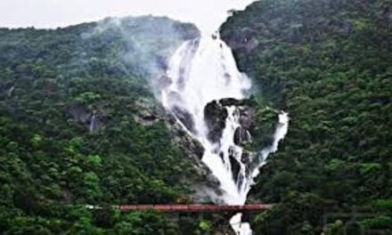ಗೋವಾಕ್ಕೆ ಬರುವ ಪ್ರವಾಸಿಗರೇ ಎಚ್ಚರ…ನಿಷೇಧಿತ ಜಲಮೂಲಗಳಿಗೆ ತೆರಳಿದರೆ ಕಠಿಣ ಕ್ರಮ ಗ್ಯಾರಂಟಿ….!