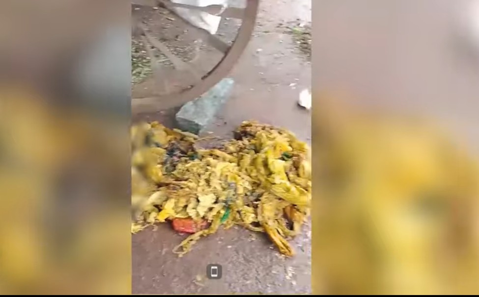 ಆಕಳಿನ ಹೊಟ್ಟೆಯಲ್ಲಿತ್ತು 15 ಕೆಜಿ ಪ್ಲಾಸ್ಟಿಕ್…ಪ್ಲಾಸ್ಟಿಕ್ ವಿಷಯದಲ್ಲಿ ಬೇಜವಾಬ್ದಾರಿ ಬೇಡ