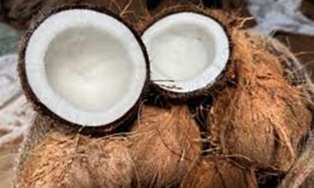 ಗೋವಾದಲ್ಲಿ 45 ರೂ ಸಬ್ಸಿಡಿ ದರದಲ್ಲಿ ತೆಂಗಿನಕಾಯಿ ವಿತರಣೆ