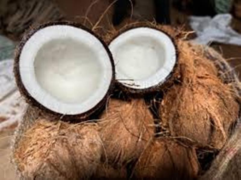 ಗೋವಾದಲ್ಲಿ 45 ರೂ ಸಬ್ಸಿಡಿ ದರದಲ್ಲಿ ತೆಂಗಿನಕಾಯಿ ವಿತರಣೆ