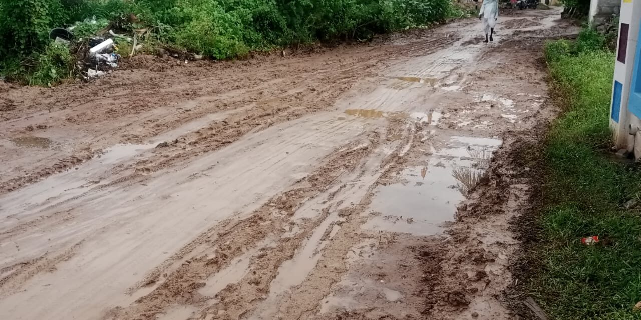 ಕೆಸರು ಗದ್ದೆಯಂತಾದ ಹಡಗಲಿ‌‌ ಗ್ರಾಮದ ರಸ್ತೆ
