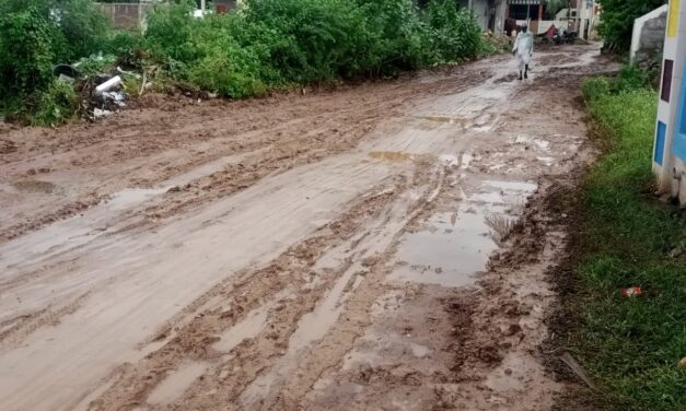 ಕೆಸರು ಗದ್ದೆಯಂತಾದ ಹಡಗಲಿ‌‌ ಗ್ರಾಮದ ರಸ್ತೆ