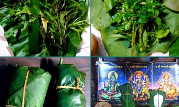 ಗೋವಾದಲ್ಲಿ ವಿಶಿಷ್ಠ ಪದ್ಧತಿ, ಪತ್ರಿಕಾ ಗಣಪತಿ