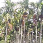 ಸಾವಯವ ಕೃಷಿಯ ಕುರಿತು ರೈತರಿಗೆ ಮಾಹಿತಿ ಕಾರ್ಯಕ್ರಮ