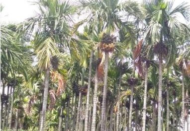 ಸಾವಯವ ಕೃಷಿಯ ಕುರಿತು ರೈತರಿಗೆ ಮಾಹಿತಿ ಕಾರ್ಯಕ್ರಮ