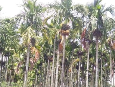 ಸಾವಯವ ಕೃಷಿಯ ಕುರಿತು ರೈತರಿಗೆ ಮಾಹಿತಿ ಕಾರ್ಯಕ್ರಮ