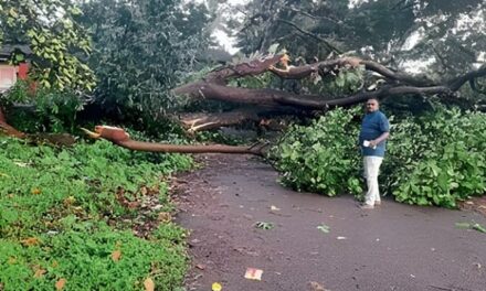 ಗೋವಾದಲ್ಲಿ ಪ್ರತಿದಿನ ಸಂಜೆ ಮಳೆ..?