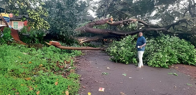 ಗೋವಾದಲ್ಲಿ ಪ್ರತಿದಿನ ಸಂಜೆ ಮಳೆ..?