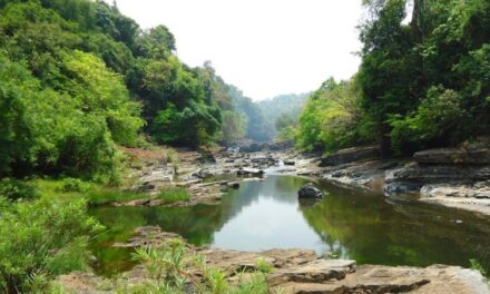 ಕರ್ನಾಟಕದ ವಿರುದ್ಧ ಸರ್ವೋಚ್ಛ ನ್ಯಾಯಾಲಯದಲ್ಲಿ ಅರ್ಜಿ ಸಲ್ಲಿಸಲಿರುವ ಗೋವಾ