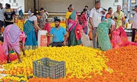 ಗೋವಾಕ್ಕೆ ದಸರಾ ಹಬ್ಬಕ್ಕೆ ಕರ್ನಾಟಕದಿಂದ ಭಾರಿ ಪ್ರಮಾಣದಲ್ಲಿ ಚೆಂಡು ಹೂವು