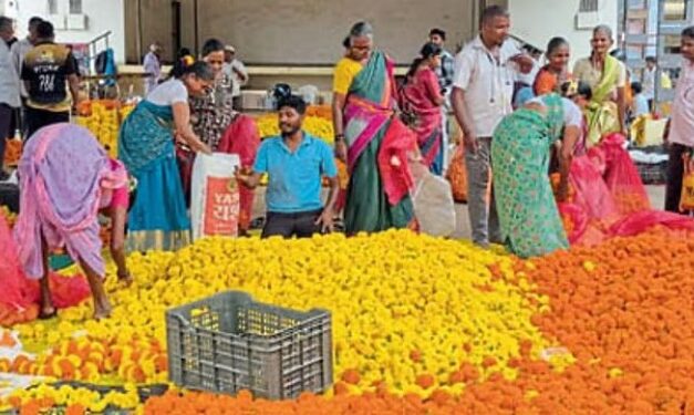 ಗೋವಾಕ್ಕೆ ದಸರಾ ಹಬ್ಬಕ್ಕೆ ಕರ್ನಾಟಕದಿಂದ ಭಾರಿ ಪ್ರಮಾಣದಲ್ಲಿ ಚೆಂಡು ಹೂವು