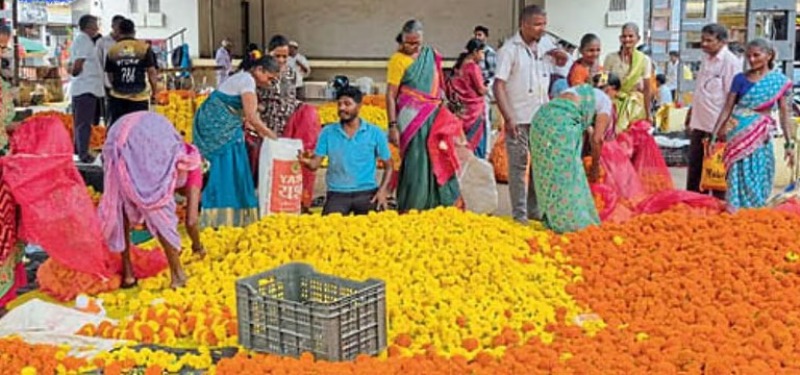 ಗೋವಾಕ್ಕೆ ದಸರಾ ಹಬ್ಬಕ್ಕೆ ಕರ್ನಾಟಕದಿಂದ ಭಾರಿ ಪ್ರಮಾಣದಲ್ಲಿ ಚೆಂಡು ಹೂವು