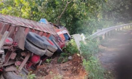 ಚಾಲಕನ ನಿಯಂತ್ರಣ ತಪ್ಪಿ ಸಿಮೆಂಟ್ ಲಾರಿ ಪಲ್ಟಿ