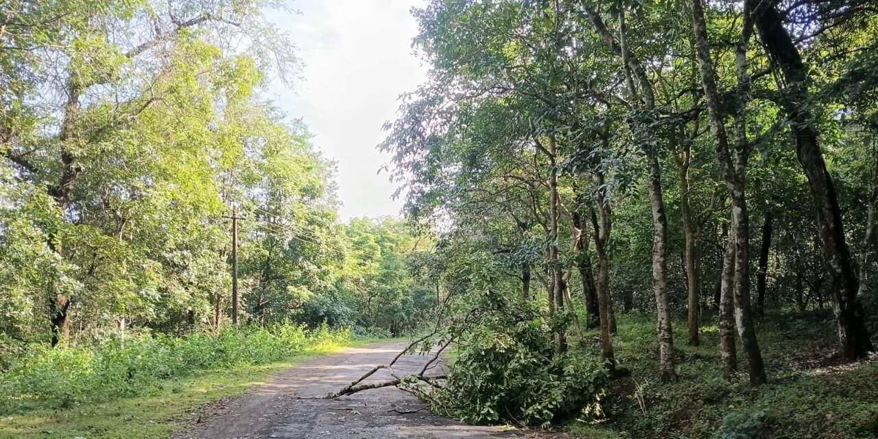 ಜೋಯಿಡಾದಲ್ಲಿ ಸುರಿದ ಭಾರಿ ಮಳೆಗೆ ಹೆಚ್ಚಿನ ಹಾನಿ