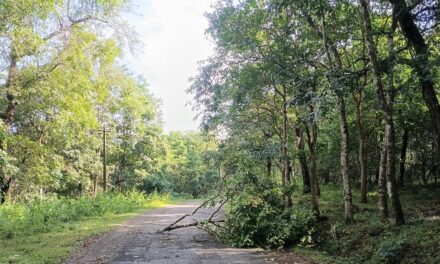 ಜೋಯಿಡಾದಲ್ಲಿ ಸುರಿದ ಭಾರಿ ಮಳೆಗೆ ಹೆಚ್ಚಿನ ಹಾನಿ
