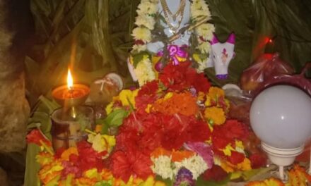 ಮಲಕರ್ಣಿಯಲ್ಲಿ ಏಳು ದಿನಗಳ ಶ್ರೀಕೃಷ್ಣ ಮೂರ್ತಿ ಪೂಜನ ಕಾರ್ಯಕ್ರಮ