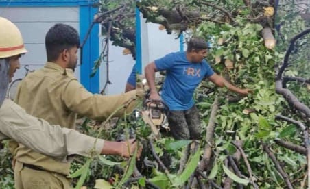 ಬೃಹತ್ ಮರ ಬಿದ್ದು ಬೈಕ್ ಗಳು ಜಖಂ;ಆಕಳು ಸಾವು