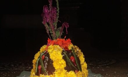 ಜೋಯಿಡಾದಲ್ಲಿ ದೀಪಾವಳಿ ಹಬ್ಬದ ಸಂಭ್ರಮ ಅದ್ದೂರಿ ಸಂಪನ್ನ