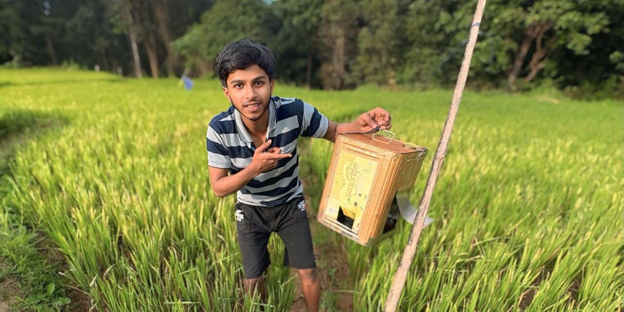 ಜೋಯಿಡಾ ದಲ್ಲಿ ಬತ್ತದ ಬೆಳೆ ರಕ್ಷಣೆ ಹೇಗೆ?