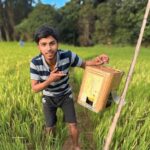 ಜೋಯಿಡಾ ದಲ್ಲಿ ಬತ್ತದ ಬೆಳೆ ರಕ್ಷಣೆ ಹೇಗೆ?