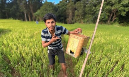 ಜೋಯಿಡಾ ದಲ್ಲಿ ಬತ್ತದ ಬೆಳೆ ರಕ್ಷಣೆ ಹೇಗೆ?