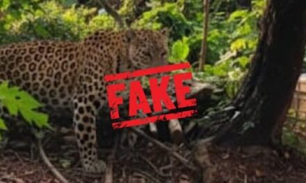 ಗೋವಾದ ಮಡಗಾಂವಗೆ ಚಿರತೆ ಬಂದಿರುವ ನಕಲಿ ಪೋಟೊ ಸೃಷ್ಠಿಸಿದ ವ್ಯಕ್ತಿ