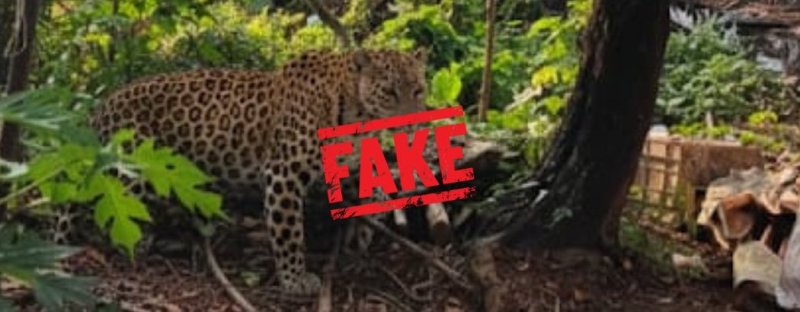 ಗೋವಾದ ಮಡಗಾಂವಗೆ ಚಿರತೆ ಬಂದಿರುವ ನಕಲಿ ಪೋಟೊ ಸೃಷ್ಠಿಸಿದ ವ್ಯಕ್ತಿ