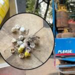 ಗ್ರಾಹಕರೇ ಎಚ್ಚರ…ಗೋವಾದಲ್ಲಿ ಸಿಲಿಂಡರ್ ನಿಂದ ಗ್ಯಾಸ್ ಕಳ್ಳತನ ಮಾಡಲಾಗುತ್ತಿದೆ