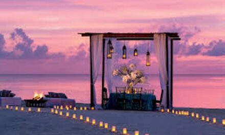 ಗೋವಾದಲ್ಲಿ ಪರವಾನಗಿ ಪಡೆಯದೆಯೇ ಬೀಚ್ ವೆಡ್ಡಿಂಗ್-1 ಲಕ್ಷ ರೂ ದಂಡ