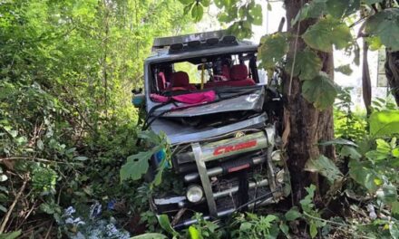 ಗೋವಾದಲ್ಲಿ ಭೀಕರ ಅಪಘಾತ, ಕರ್ನಾಟಕದ ಮೂವರು ಪ್ರವಾಸಿಗರ ಸ್ಥಿತಿ ಗಂಭೀರ…!