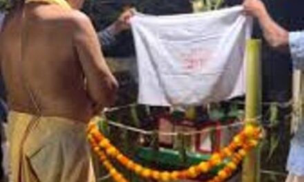 ಗೋವಾದಲ್ಲಿ ಉತ್ತರಕನ್ನಡದ ಪುರೋಹಿತರಿಂದ ತುಳಸಿ ವಿವಾಹ