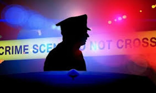 ಗೋವಾದಲ್ಲಿ ನಕಲಿ ಜನನ ಪ್ರಮಾಣಪತ್ರ ನೀಡಿದ ಕಾನ್ ಸ್ಟೇಬಲ್