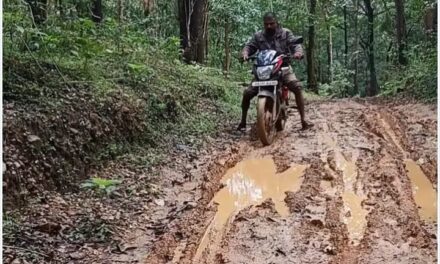 ಹದಗೆಟ್ಟ ರಸ್ತೆಯಿಂದ ಗ್ರಾಮಸ್ಥರಿಗೆ ಸಂಕಟ;ದುರಸ್ತಿಗೆ ಮನವಿ