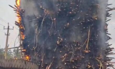 ತಾರಕ್ಕೇರಿದ ಕಬ್ಬಿನ ದರ ನಿಗದಿ ಹೋರಾಟ ನೂರಾರು ಕಬ್ಬಿನ ಟ್ರಾಕ್ಟರ್‌ಗಳಿಗೆ ಬೆಂಕಿ