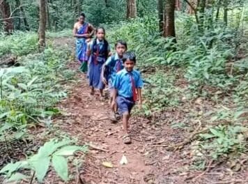 ಮಾರ್ಲಿಯ ಮಕ್ಕಳ ಶಿಕ್ಷಣ ಕಾಡು ಮೇಡು,ಜೊತೆಗೆ ಒಬ್ಬ ರಕ್ಷಕನ ನಡುವೆ