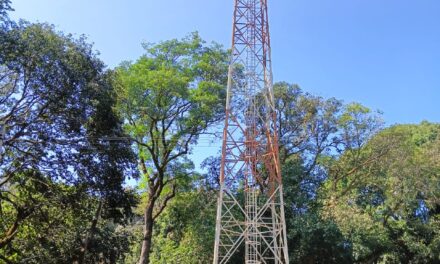 ಸಂಪರ್ಕ ಸೇವೆಗೆ ಕಾದು ನಿಂತ ನುಜ್ಜಿ ಬಿಎಸ್ಎನ್ಎಲ್ ಮೊಬೈಲ್ ಟವರ್