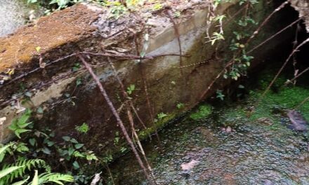 ಜೋಯಿಡಾದಲ್ಲಿ ಕಲುಷಿತ ನೀರು ಪೂರೈಕೆಯಿಂದ ಆರೋಗ್ಯ ಸಮಸ್ಯೆ