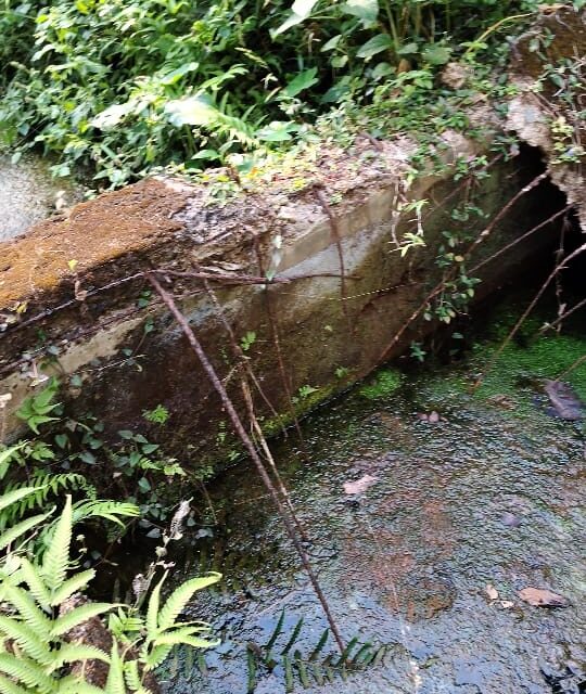 ಜೋಯಿಡಾದಲ್ಲಿ ಕಲುಷಿತ ನೀರು ಪೂರೈಕೆಯಿಂದ ಆರೋಗ್ಯ ಸಮಸ್ಯೆ