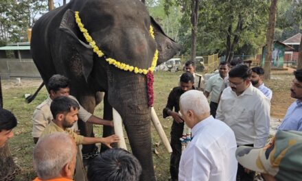 ಜೋಯಿಡಾದ ಪಣಸೋಲಿ ಗೆ ಎರಡು ಆನೆಗಳ ಆಗಮನ ಶಾಸಕ ದೇಶಪಾಂಡೆ ಸಂತಸ