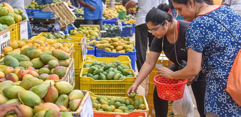 ಗೋವಾಕ್ಕೆ ಆಗಮಿಸಿದ ಬೆಂಗಳೂರಿನ “ಲಾಲ್ ಬಾಗ್”….?
