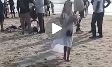 ಗೋವಾದಲ್ಲಿ ಆತಂಕಕಾರಿ ಘಟನೆ..!ಬೀಚ್ ನಲ್ಲಿ ರಷ್ಯನ್ ಬಾಲಕಿಯಿಂದ ಹೂವು ಮಾರಾಟ..?