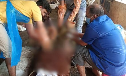 ಮಾನವನ ಬೇಜವಾಬ್ದಾರಿ: ಆಕಳ ಹೊಟ್ಟೆಯಲ್ಲಿತ್ತು 48 ಕಿಲೊ ಪ್ಲ್ಯಾಸ್ಟಿಕ್…!