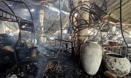 Goa Night Club  ಮಾಲೀಕರ ಬಂಧನಕ್ಕೆ ದೆಹಲಿಗೆ ತೆರಳಿದ ಪೋಲಿಸರು