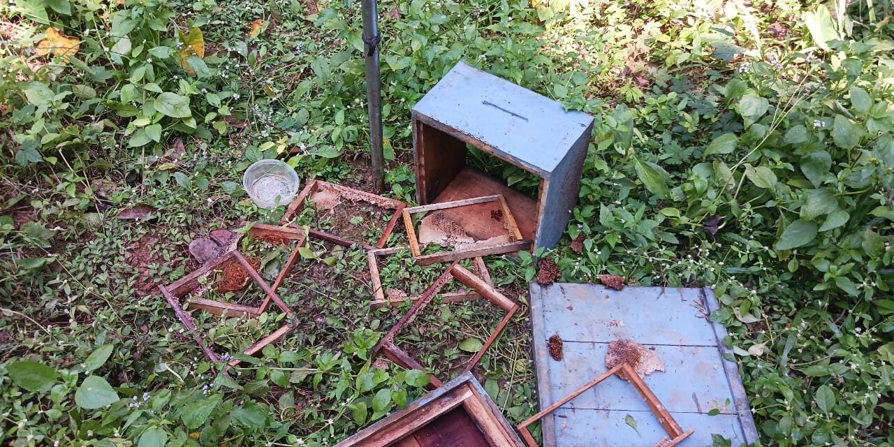 ಜೋಯಿಡಾ ಕರಡಿ ದಾಳಿಯಿಂದ ಸಾಕಾಣಿಕೆ ಮಾಡಿದ ಜೇನು ಪೆಟ್ಟಿಗೆ ನಾಶ