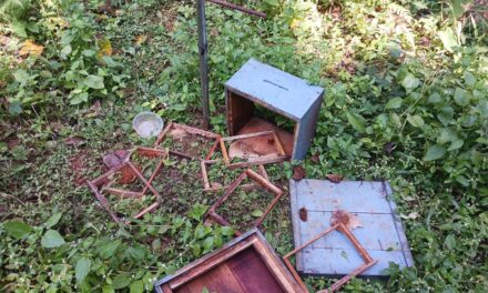 ಜೋಯಿಡಾ ಕರಡಿ ದಾಳಿಯಿಂದ ಸಾಕಾಣಿಕೆ ಮಾಡಿದ ಜೇನು ಪೆಟ್ಟಿಗೆ ನಾಶ